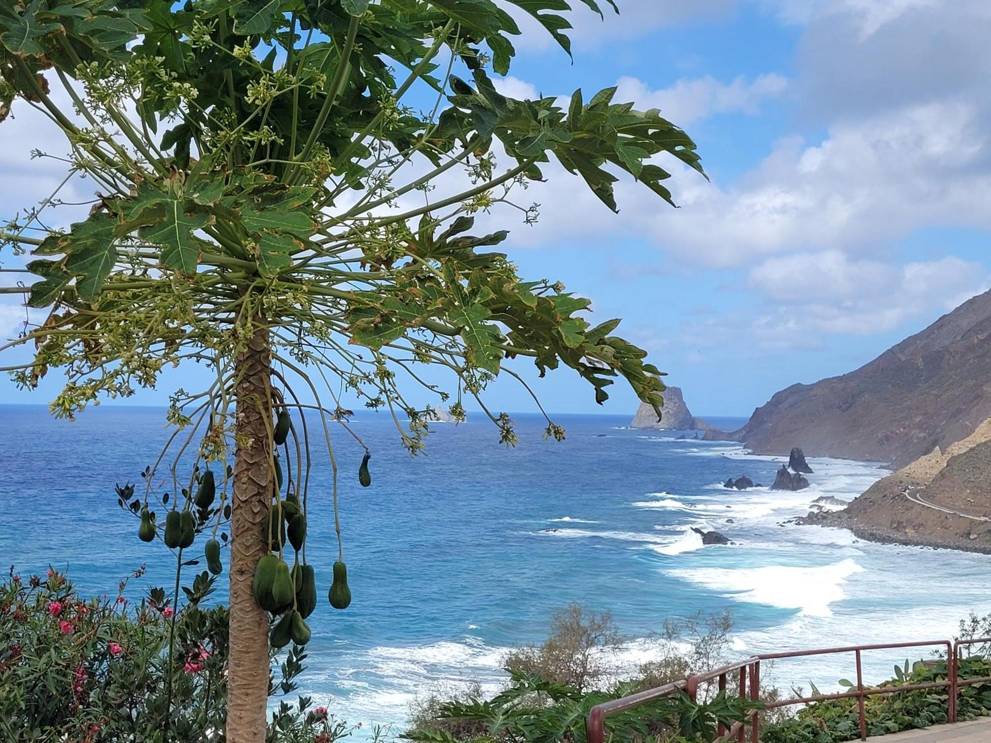 Casa Manolo Paraiso Beach Trail Almaciga Zewnętrze zdjęcie