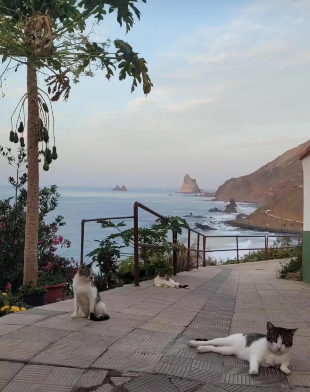 Casa Manolo Paraiso Beach Trail Almaciga Zewnętrze zdjęcie
